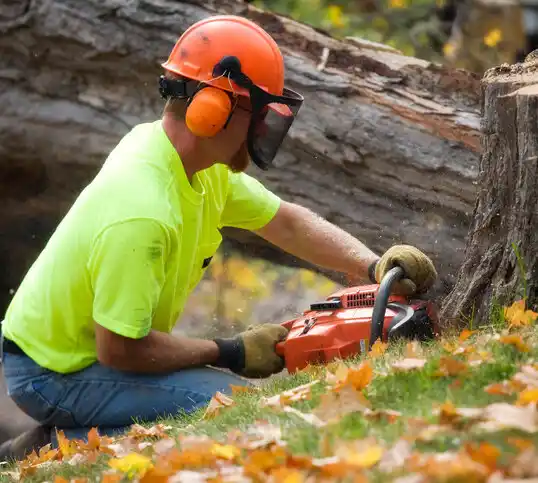 tree services Washington Court House